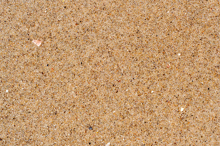 Wet Sand Background