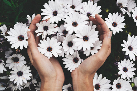Hands Holding Flowers