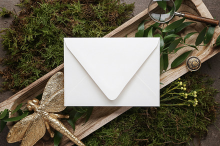 Envelope Back Mockup