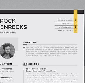 Professional Resume/CV Template