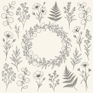 Botanical Line Art Elements